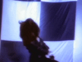 You Win My Love GIF by Shania Twain