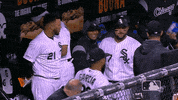 major league baseball sport GIF by MLB