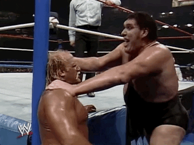 Andre The Giant Sport GIF by WWE