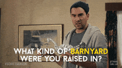 Pop Tv GIF by Schitt's Creek