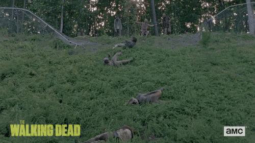 twd GIF by The Walking Dead