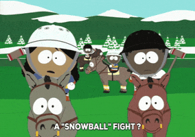 fight snowball GIF by South Park 