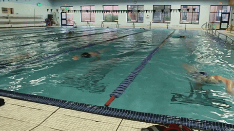 Wethebeach Virginiawesleyan GIF by VWU Marlins