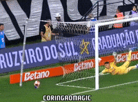 Santos Fc Futebol GIF