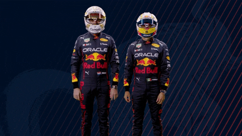 Red Bull Sport GIF by Oracle Red Bull Racing