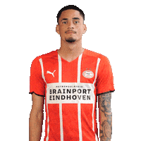 Celebrate Luis Felipe Sticker by PSV