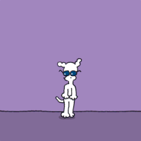 GIF by Chippy the dog