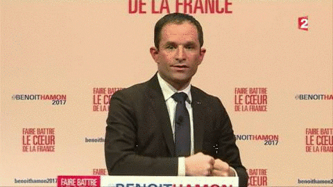 benoit hamon wtf GIF by franceinfo