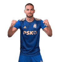 Football Soccer Sticker by GNK Dinamo