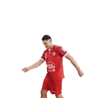 Sacha Sticker by Valence Drôme Handball