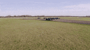 Formula 1 Sport GIF by Mercedes-AMG Petronas Formula One Team
