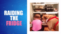 Raiding The Fridge