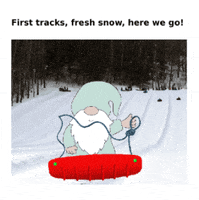 Gnome Snow Winter GIF
