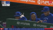 Chicago Cubs Baseball GIF