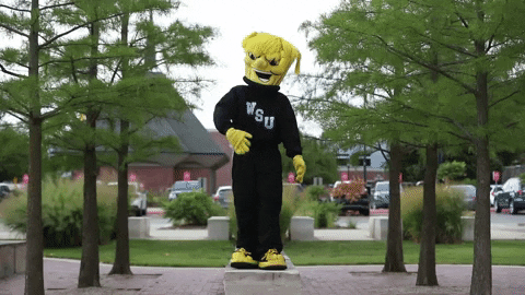 Wu_Shock giphyupload college wsu wu GIF