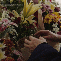 Grow Love You GIF by La Guarimba Film Festival