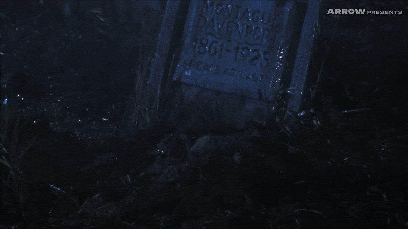 Linnea Quigley Horror GIF by Arrow Video