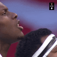 English Sport GIF by Guinness Six Nations