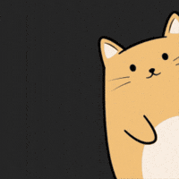 Cat Love GIF by MESA My Emotional Support Animal
