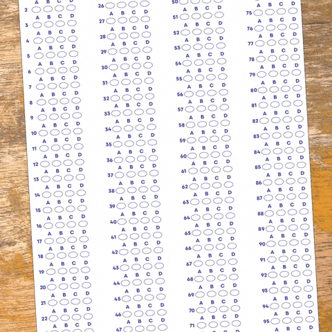 college help GIF by MTVU