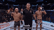 Mixed Martial Arts Sport GIF by UFC