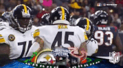 Pittsburgh Steelers Football GIF by NFL