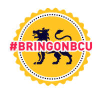 happy first year Sticker by BCU