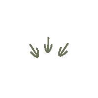 Pfeil Clickhere Sticker by Juzo