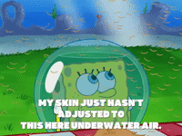 season 5 episode 10 GIF by SpongeBob SquarePants