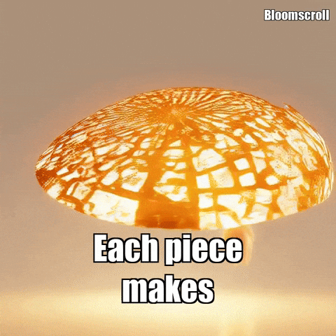 Wisdom Enlightenment GIF by Bloomscroll