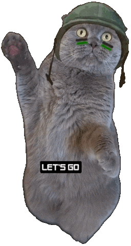 Cat Kitty Sticker