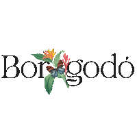 Breton Borogodo Sticker by BretonOficial