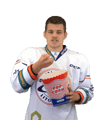 Sport Hokej Sticker by HCSTADION
