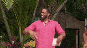 Season 6 Mike GIF by Bachelor in Paradise