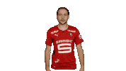Roazhon Park Rennes Sticker by Stade Rennais F.C.