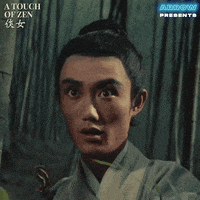 Martial Arts Wow GIF by Arrow Video