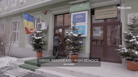 viceland GIF by STATES OF UNDRESS
