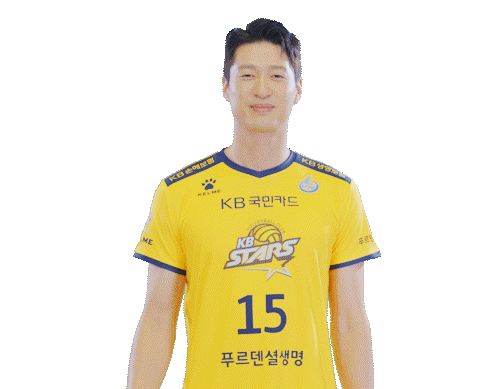 kbstarsvc giphyupload kb스타즈 kb스타즈배구단 스타즈 Sticker