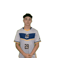 Clarke Mens Soccer Sticker by Clarke University