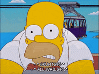 homer simpson GIF