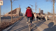 GIF by Rumsans