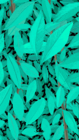 neusneve giphygifmaker primavera neusneve GIF