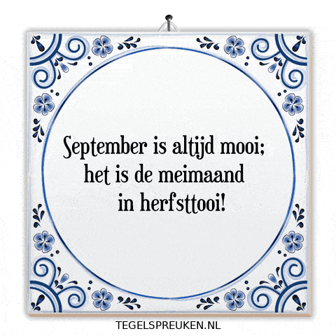 Humor Wijsheid GIF by Tegelspreuken.nl