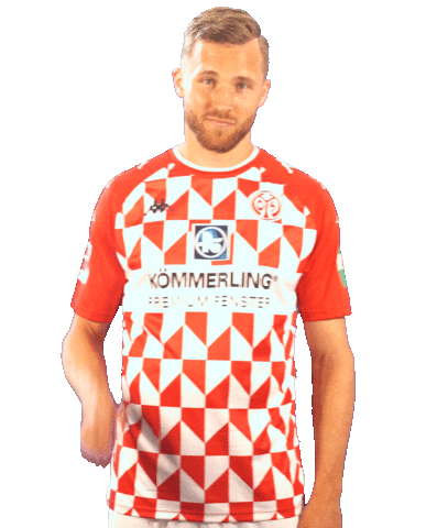 Bundesliga Fans Sticker by 1. FSV Mainz 05