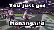 Chicago Bears Football GIF
