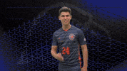 Blowingkisses GIF by Carson-Newman Athletics