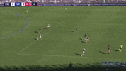 foreverfreo freo GIF by Fremantle Dockers