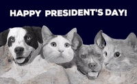Presidents Day Cat GIF by Nebraska Humane Society