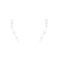 bohindiestream bohindie stream bohindiestream bohindie of the day bohindie Sticker