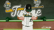 College Baseball Jersey GIF by GreenWave